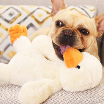 360Home Hund Beißspielzeug Kauspielzeug Plüsch Ente